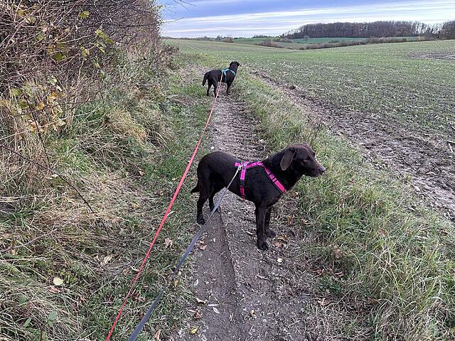 Klicke auf die Grafik für eine vergrößerte Ansicht  Name: IMG_8818.jpg Ansichten: 0 Größe: 327,2 KB ID: 1195596