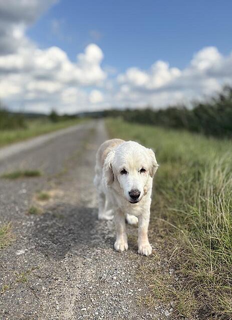 Klicke auf die Grafik für eine vergrößerte Ansicht

Name: IMG_8233.jpg
Ansichten: 0
Größe: 116,1 KB
ID: 1196288