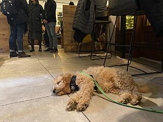 Klicke auf die Grafik für eine vergrößerte Ansicht  Name: IMG_0650.jpg Ansichten: 0 Größe: 115,2 KB ID: 1195701