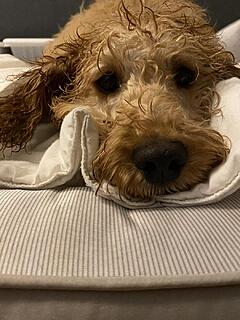 Klicke auf die Grafik für eine vergrößerte Ansicht  Name: IMG_2739.jpg Ansichten: 0 Größe: 127,0 KB ID: 1195702