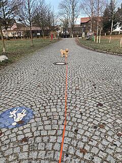 Klicke auf die Grafik für eine vergrößerte Ansicht  Name: IMG_2762.jpg Ansichten: 0 Größe: 308,6 KB ID: 1195710