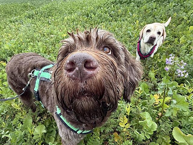 Klicke auf die Grafik für eine vergrößerte Ansicht  Name: IMG_8998.jpg Ansichten: 0 Größe: 215,1 KB ID: 1195802