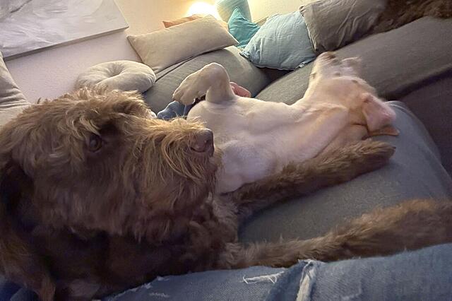 Klicke auf die Grafik für eine vergrößerte Ansicht  Name: IMG_8832.jpg Ansichten: 0 Größe: 68,8 KB ID: 1195804