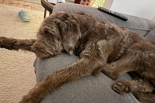 Klicke auf die Grafik für eine vergrößerte Ansicht  Name: IMG_9353.jpg Ansichten: 0 Größe: 164,1 KB ID: 1195805