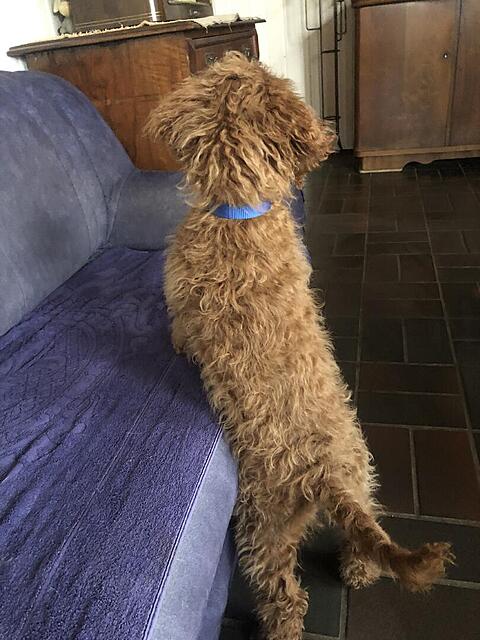 Klicke auf die Grafik für eine vergrößerte Ansicht  Name: IMG_3861.jpg Ansichten: 0 Größe: 113,8 KB ID: 1195865