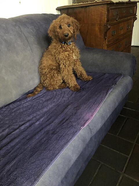 Klicke auf die Grafik für eine vergrößerte Ansicht  Name: IMG_3863.jpg Ansichten: 0 Größe: 83,9 KB ID: 1195866