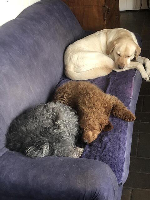 Klicke auf die Grafik für eine vergrößerte Ansicht  Name: IMG_3868.jpg Ansichten: 0 Größe: 99,9 KB ID: 1195867