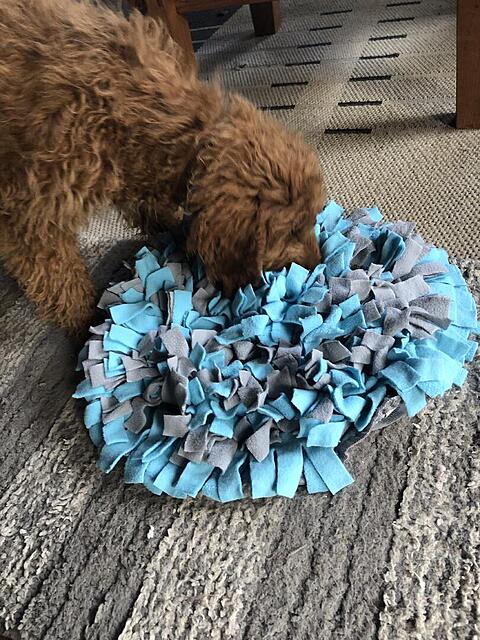 Klicke auf die Grafik für eine vergrößerte Ansicht  Name: IMG_3850.jpg Ansichten: 0 Größe: 180,3 KB ID: 1195868