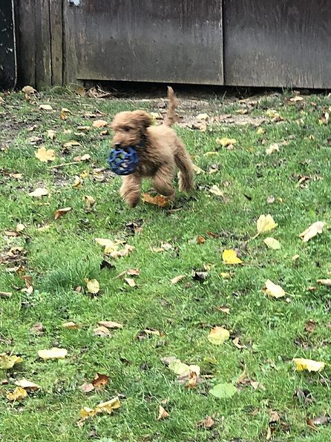 Klicke auf die Grafik für eine vergrößerte Ansicht  Name: IMG_3821.jpg Ansichten: 0 Größe: 189,9 KB ID: 1195869