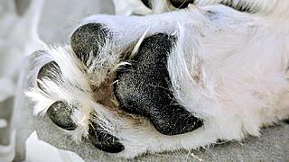 Klicke auf die Grafik für eine vergrößerte Ansicht

Name: PXL_20251122_204132278.PORTRAIT~2.jpg
Ansichten: 0
Größe: 98,8 KB
ID: 1195991