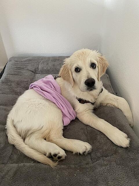 Klicke auf die Grafik für eine vergrößerte Ansicht  Name: IMG_2975.jpg Ansichten: 0 Größe: 110,5 KB ID: 1195994