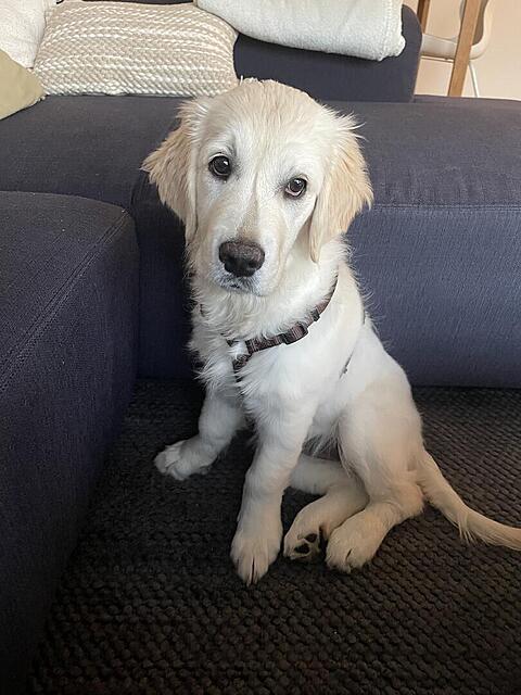 Klicke auf die Grafik für eine vergrößerte Ansicht  Name: IMG_3027.jpg Ansichten: 0 Größe: 104,1 KB ID: 1195995