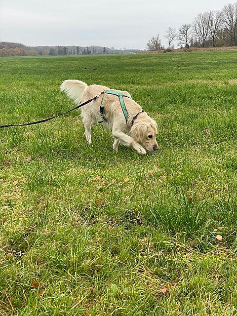 Klicke auf die Grafik für eine vergrößerte Ansicht  Name: a3ad8b34-064b-4f00-bd6e-42e38c6a2d75.jpg Ansichten: 0 Größe: 253,9 KB ID: 1196126