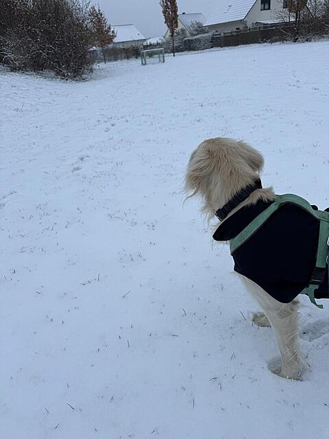 Klicke auf die Grafik für eine vergrößerte Ansicht  Name: IMG_3131.jpg Ansichten: 0 Größe: 67,2 KB ID: 1196131