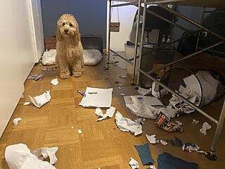 Klicke auf die Grafik für eine vergrößerte Ansicht  Name: IMG_2776.jpg Ansichten: 0 Größe: 112,7 KB ID: 1196225