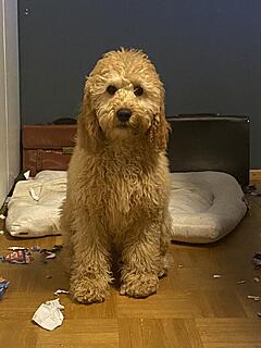 Klicke auf die Grafik für eine vergrößerte Ansicht  Name: IMG_2777.jpg Ansichten: 0 Größe: 99,5 KB ID: 1196226