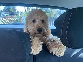 Klicke auf die Grafik für eine vergrößerte Ansicht  Name: IMG_2736 (1).jpg Ansichten: 0 Größe: 100,6 KB ID: 1196227