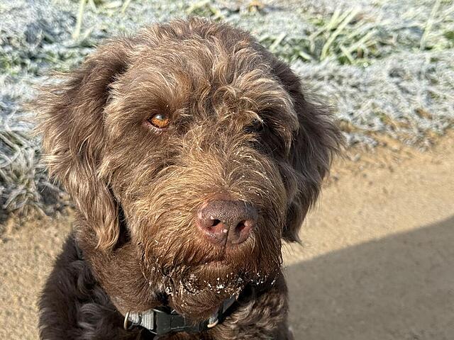 Klicke auf die Grafik für eine vergrößerte Ansicht  Name: IMG_9606.jpg Ansichten: 0 Größe: 161,5 KB ID: 1196346