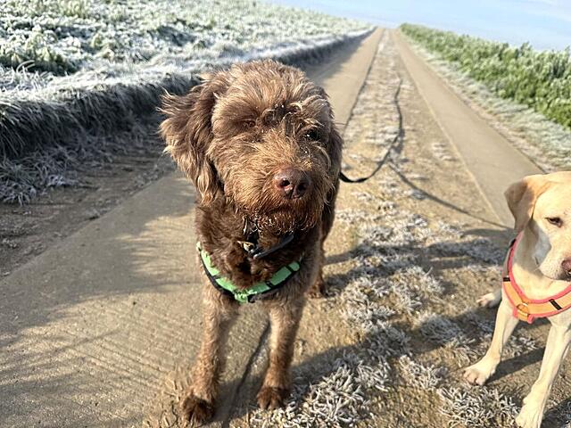 Klicke auf die Grafik für eine vergrößerte Ansicht  Name: IMG_9571.jpg Ansichten: 0 Größe: 146,1 KB ID: 1196348