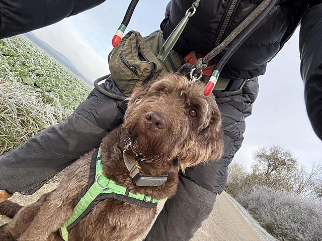 Klicke auf die Grafik für eine vergrößerte Ansicht  Name: IMG_9617.jpg Ansichten: 0 Größe: 166,9 KB ID: 1196349