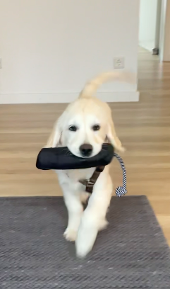 Klicke auf die Grafik für eine vergrößerte Ansicht

Name: Bildschirmfoto 2025-11-27 um 17.58.31.png
Ansichten: 0
Größe: 116,0 KB
ID: 1196360