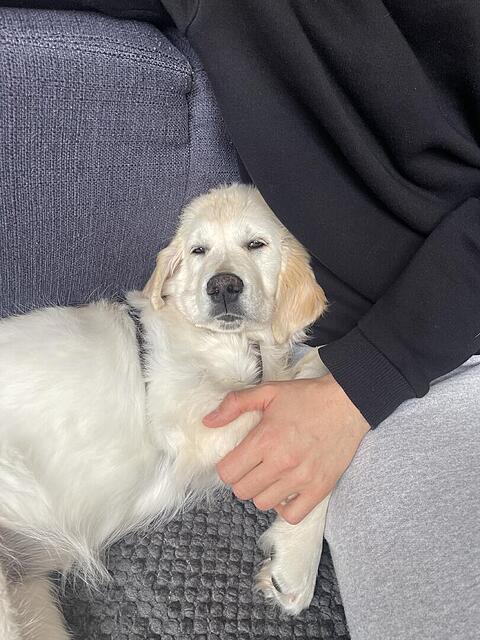 Klicke auf die Grafik für eine vergrößerte Ansicht

Name: IMG_3070.jpg
Ansichten: 0
Größe: 129,6 KB
ID: 1196362