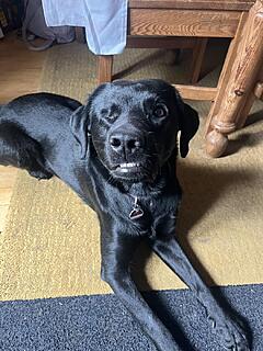 Klicke auf die Grafik für eine vergrößerte Ansicht  Name: image.jpg Ansichten: 0 Größe: 151,9 KB ID: 1196398