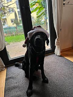 Klicke auf die Grafik für eine vergrößerte Ansicht  Name: BDUD5090.jpg Ansichten: 0 Größe: 172,7 KB ID: 1196399