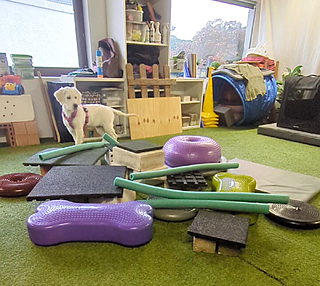 Klicke auf die Grafik für eine vergrößerte Ansicht

Name: Screenshot_20251128-131630.png
Ansichten: 0
Größe: 1,28 MB
ID: 1196474