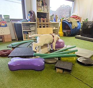 Klicke auf die Grafik für eine vergrößerte Ansicht

Name: Screenshot_20251128-131837.png
Ansichten: 0
Größe: 1,39 MB
ID: 1196475