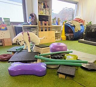 Klicke auf die Grafik für eine vergrößerte Ansicht

Name: Screenshot_20251128-131620~3.jpg
Ansichten: 0
Größe: 205,7 KB
ID: 1196476