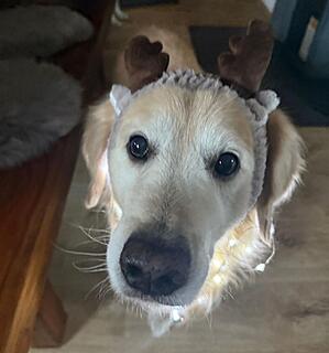 Klicke auf die Grafik für eine vergrößerte Ansicht  Name: 4db22ec8-4ce4-4245-a788-7a2b796d6d37.jpg Ansichten: 0 Größe: 69,5 KB ID: 1196566