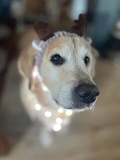 Klicke auf die Grafik für eine vergrößerte Ansicht  Name: 7698b8c6-54e7-4eca-b611-fe3b7a10729f.jpg Ansichten: 0 Größe: 43,7 KB ID: 1196570