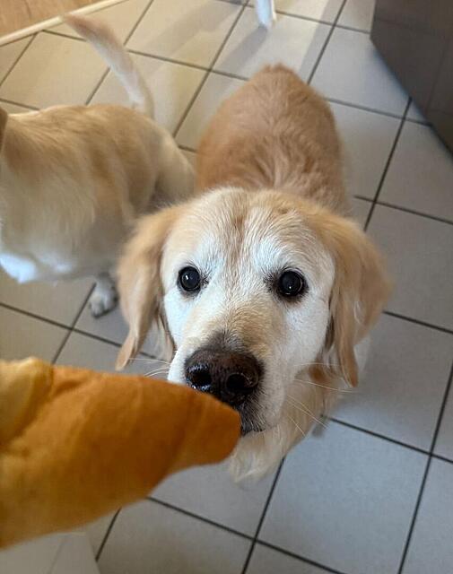 Klicke auf die Grafik für eine vergrößerte Ansicht  Name: e9d126ea-ec51-445d-a9dc-03d86f872c12.jpg Ansichten: 0 Größe: 62,9 KB ID: 1196567