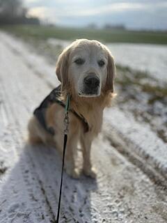 Klicke auf die Grafik für eine vergrößerte Ansicht  Name: 34c5701f-10ed-4c18-a11f-82fbfa67d88e.jpg Ansichten: 0 Größe: 55,8 KB ID: 1196568