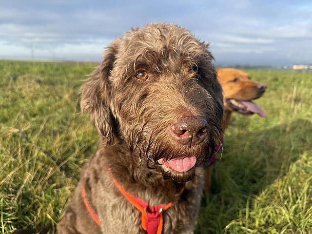 Klicke auf die Grafik für eine vergrößerte Ansicht  Name: IMG_9808.jpg Ansichten: 0 Größe: 111,7 KB ID: 1196658