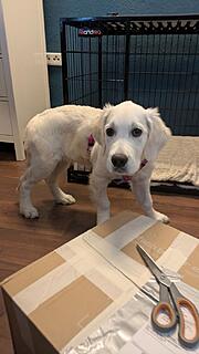 Klicke auf die Grafik für eine vergrößerte Ansicht  Name: PXL_20251201_130511576.jpg Ansichten: 0 Größe: 66,0 KB ID: 1196785