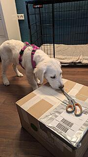 Klicke auf die Grafik für eine vergrößerte Ansicht  Name: PXL_20251201_130620004.jpg Ansichten: 0 Größe: 83,2 KB ID: 1196786