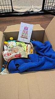 Klicke auf die Grafik für eine vergrößerte Ansicht  Name: PXL_20251201_130821078.MP.jpg Ansichten: 0 Größe: 93,7 KB ID: 1196787