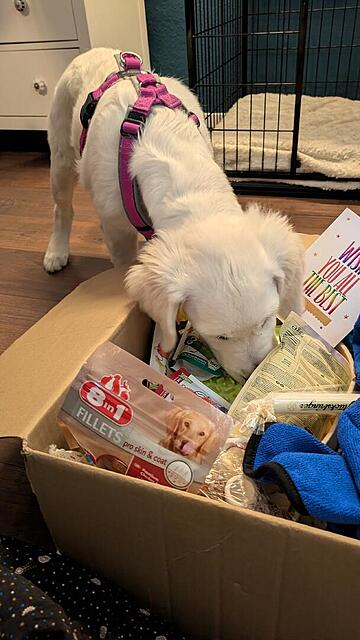 Klicke auf die Grafik für eine vergrößerte Ansicht  Name: PXL_20251201_130943970.jpg Ansichten: 0 Größe: 86,2 KB ID: 1196788