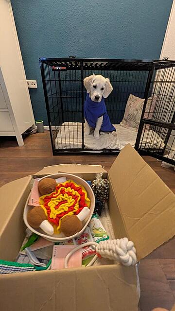 Klicke auf die Grafik für eine vergrößerte Ansicht  Name: PXL_20251201_131836834.MP.jpg Ansichten: 0 Größe: 83,9 KB ID: 1196789