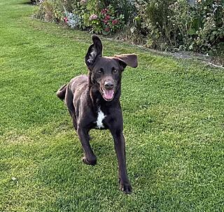 Klicke auf die Grafik für eine vergrößerte Ansicht

Name: LAra lacht.jpg
Ansichten: 0
Größe: 324,3 KB
ID: 1196822