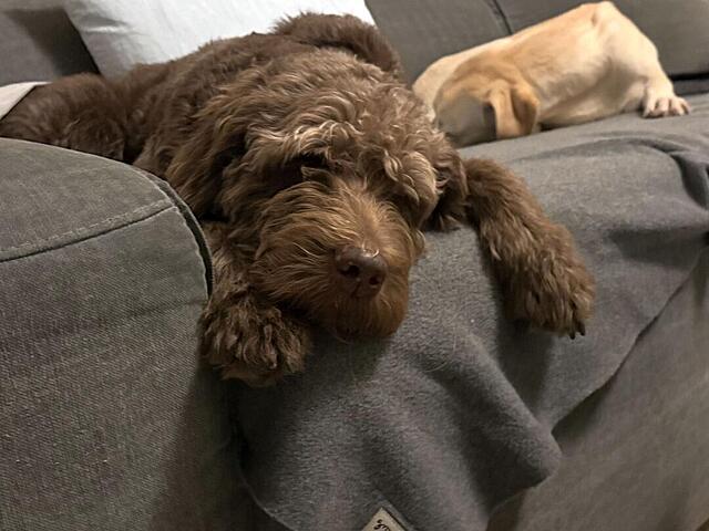 Klicke auf die Grafik für eine vergrößerte Ansicht  Name: IMG_9400.jpg Ansichten: 0 Größe: 89,3 KB ID: 1196938