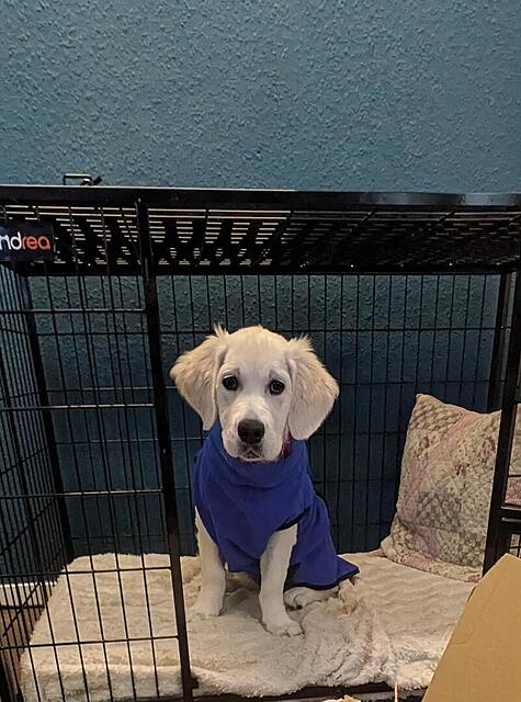 Klicke auf die Grafik für eine vergrößerte Ansicht

Name: PXL_20251201_131845924~2.jpg
Ansichten: 0
Größe: 117,8 KB
ID: 1197024