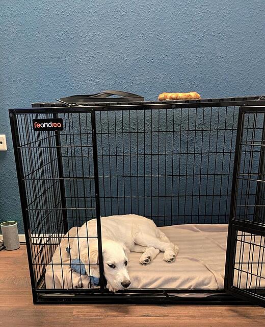 Klicke auf die Grafik für eine vergrößerte Ansicht

Name: PXL_20251204_100012334.MP~2.jpg
Ansichten: 0
Größe: 184,2 KB
ID: 1197025