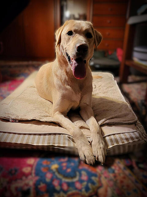 Klicke auf die Grafik für eine vergrößerte Ansicht  Name: bleib.jpg Ansichten: 0 Größe: 99,4 KB ID: 1197403