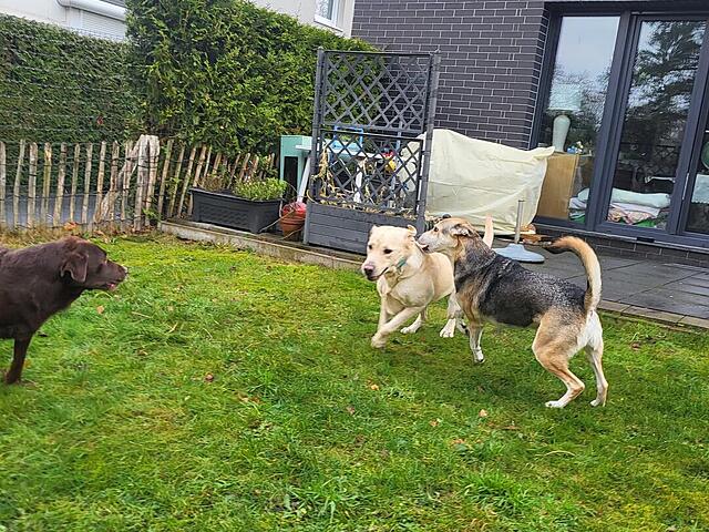 Klicke auf die Grafik für eine vergrößerte Ansicht  Name: 20251204_121900.jpg Ansichten: 0 Größe: 211,9 KB ID: 1197168