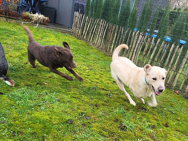 Klicke auf die Grafik für eine vergrößerte Ansicht  Name: 20251204_122051.jpg Ansichten: 0 Größe: 212,2 KB ID: 1197169