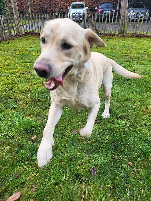 Klicke auf die Grafik für eine vergrößerte Ansicht  Name: WhatsApp Bild 2025-12-05 um 12.20.41_50fd7157.jpg Ansichten: 0 Größe: 209,3 KB ID: 1197171