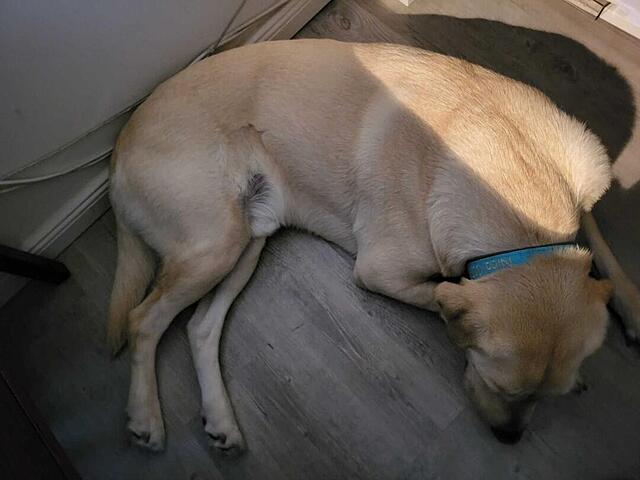 Klicke auf die Grafik für eine vergrößerte Ansicht  Name: Ablage.jpg Ansichten: 0 Größe: 62,7 KB ID: 1197177